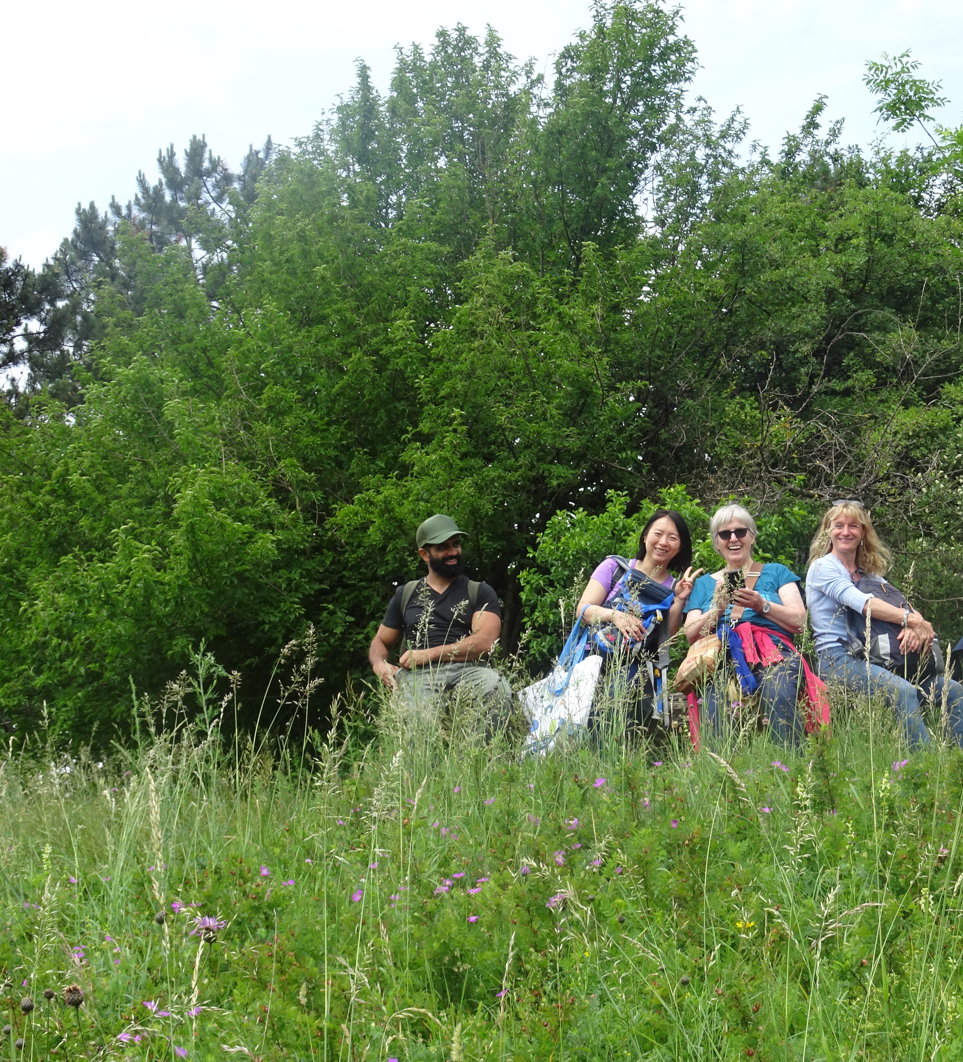 Kräuterwanderung Gruppe