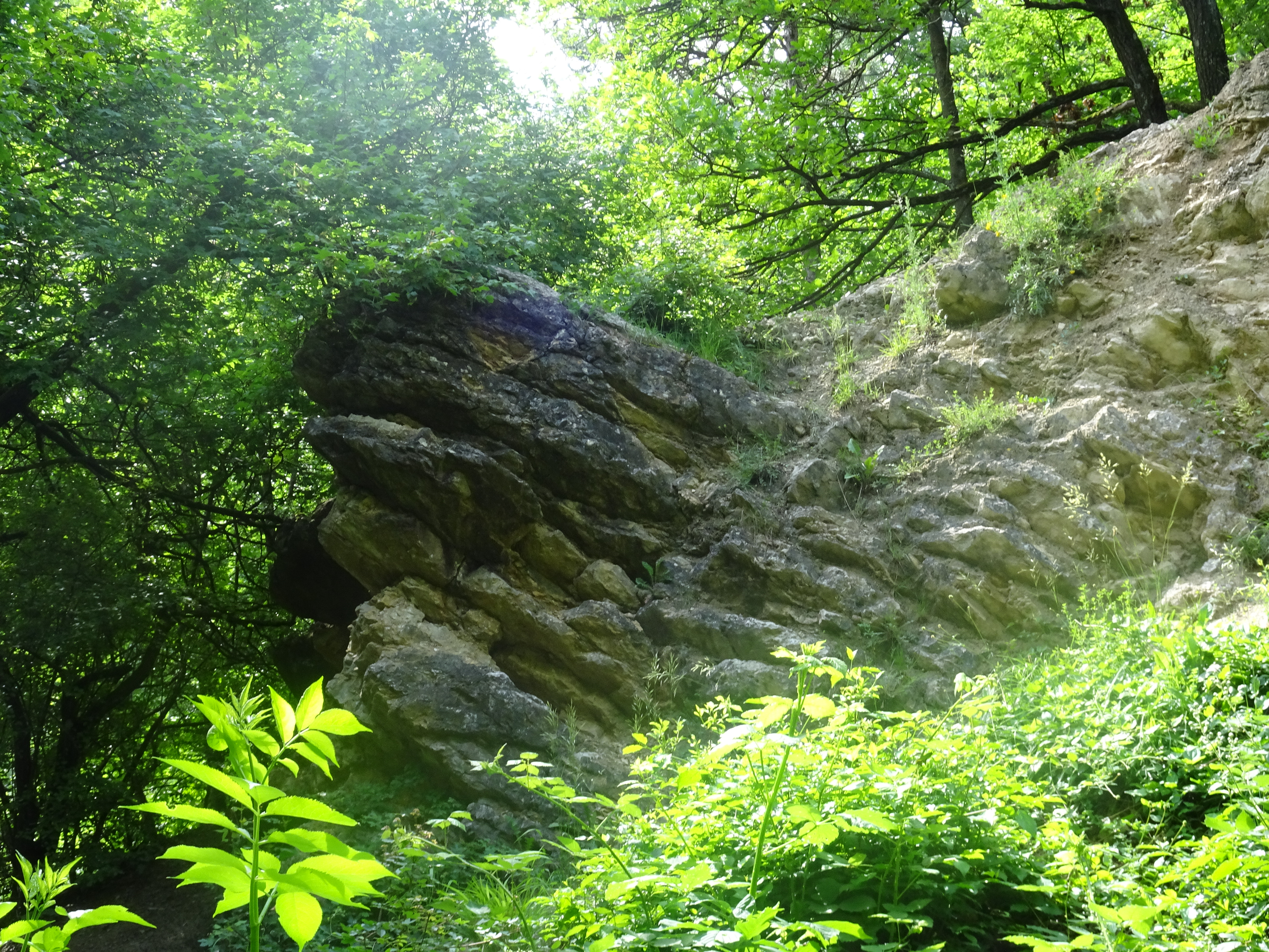 Kräuterwanderug Antonsstein