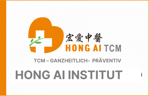 Hong AI Institut Logo