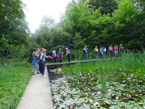 Kräuterwanderung Pappelteich